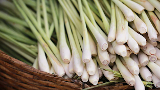 Slim Boost Tea-Ingredient4